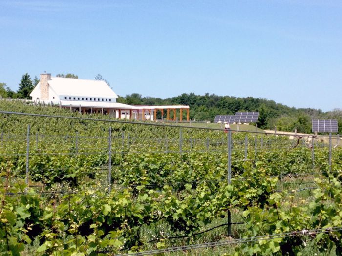 Crain Hill vineyard becomes first solar-powered winery in Mich.
