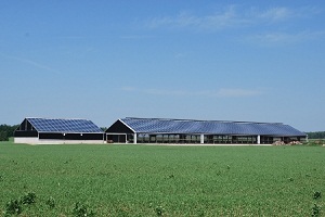 Chimed Farms produces more power than it needs, thanks to Ontario’s feed-in tariff