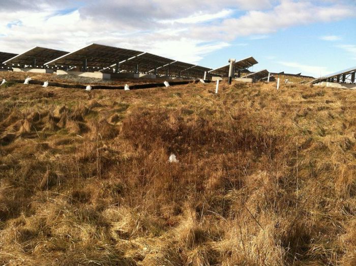 Borrego installs solar on Methuen landfill