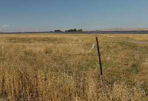 North County Watch, Carrizo Commons sue over approval of Topaz Solar Farm