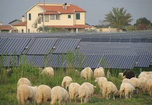 Italian government expected to extend feed-in tariff