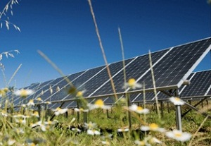 Florida home to first giant solar farm in Southeast U.S. 