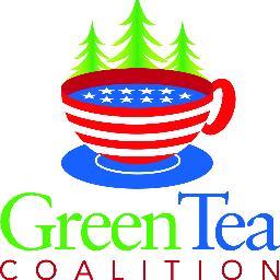 Tea Party conservatives rally for solar