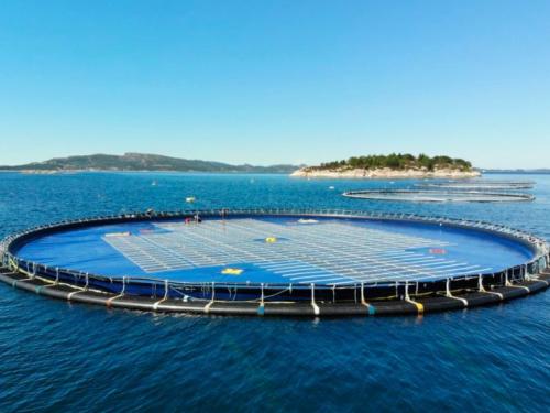Ocean Sun Floating Solar Panels