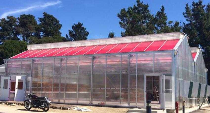 Solar Panels On Greenhouse