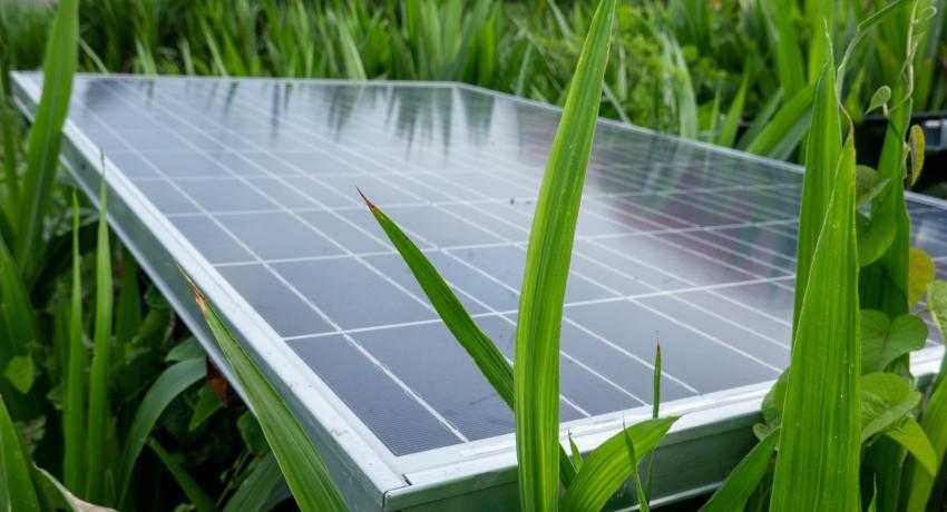 Solar Farms and Agrivoltaics