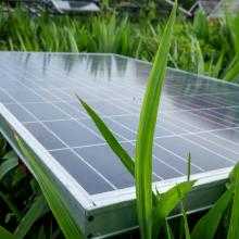Solar Farms and Agrivoltaics